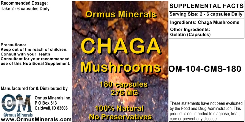 Chaga Mushrooms Chaga Mushrooms